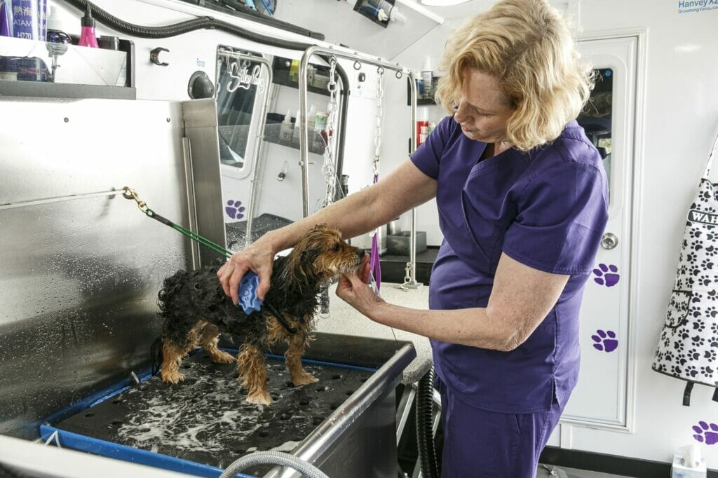 Owner-operator Kay Sir washing and grooming a small dog in her mobile grooming van around the RVA area.