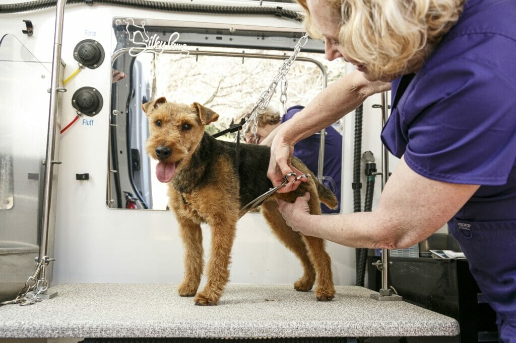 Silky Paws groomer taking care of a dog in the mobile grooming van.